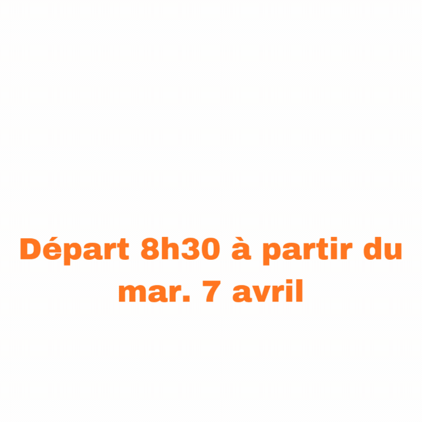 Copie de fennec91.gif