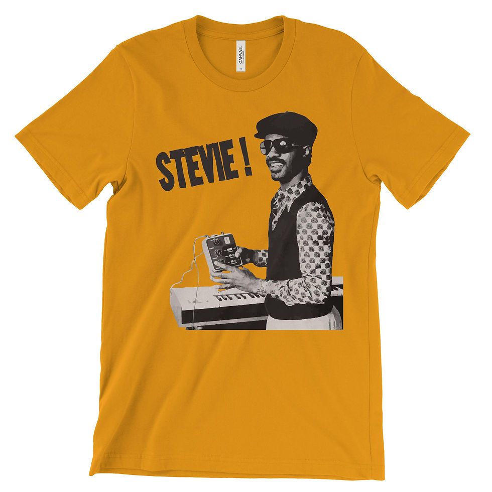 Thumbnail: Stevie Wonder T-Shirt