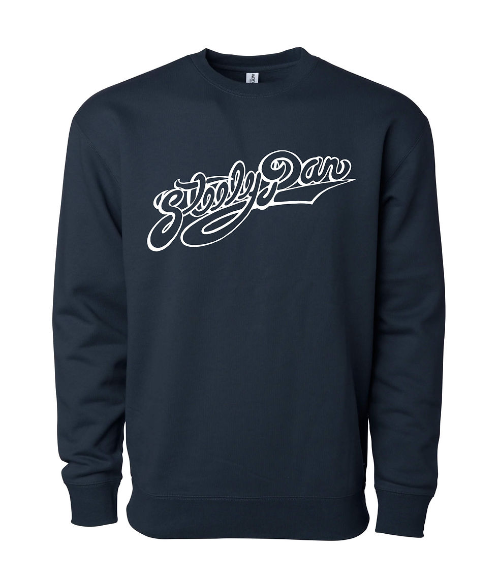 Thumbnail: Steely Dan Sweatshirt