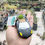 Thumbnail: Lamborghini Shaped car planter