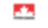 Petro-Canada Logo