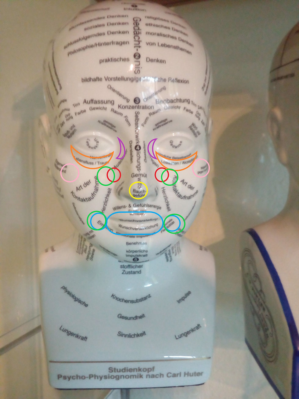 Die Gesichtsleserei als Atlas für die Gesundheit