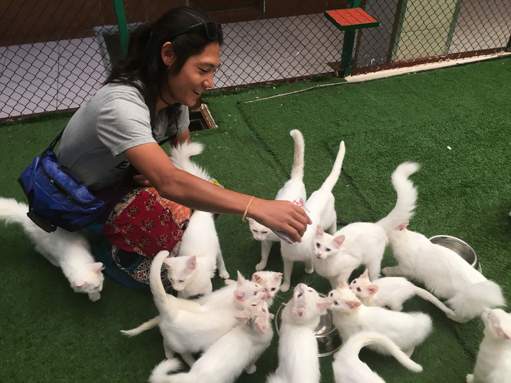 イラク クルディスタン イラク クルディスタン