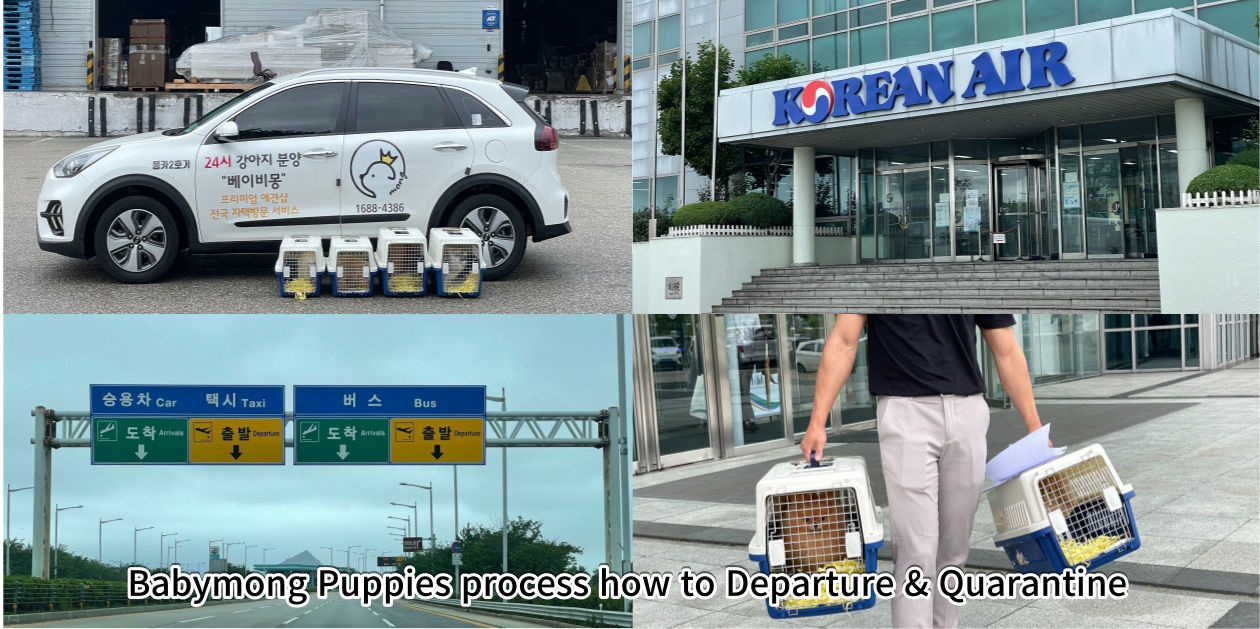 제목을-입력해주세요_-002 (6).jpg