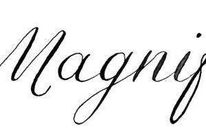 '''M COMME MERCREDI ET COMME MAGNIFIQUE'''