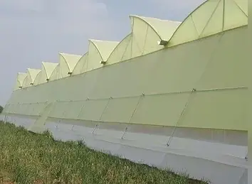 horticulture-farming-polyhouse