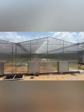 WhatsApp Image 2025-08-01 at 2.32.10 PM (2).jpeg