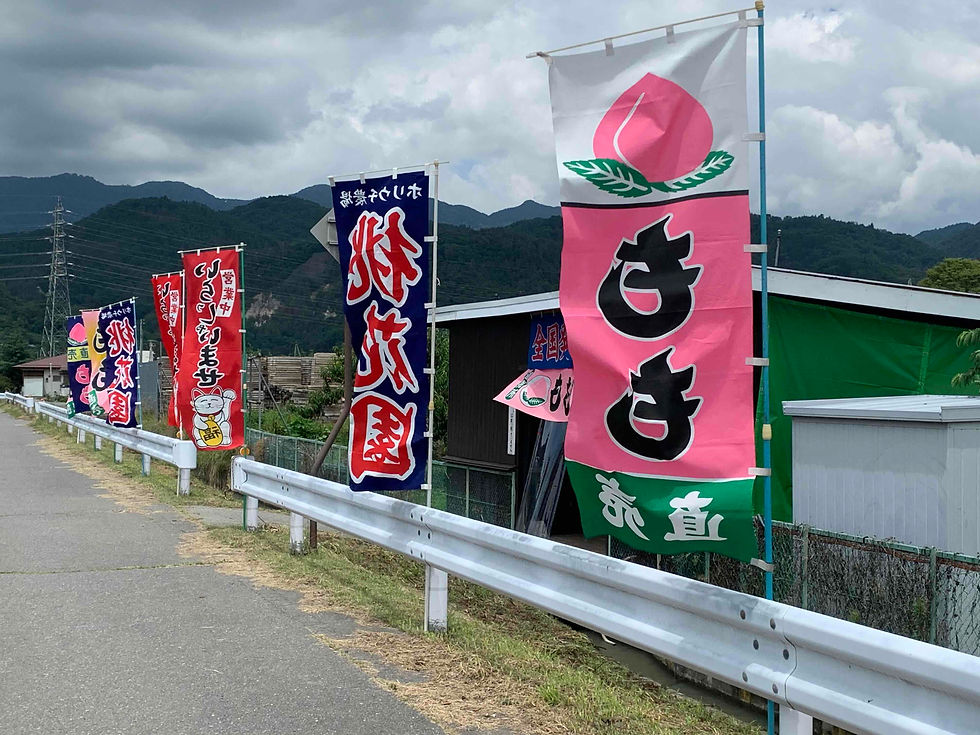 直売所(1号店)の再開について