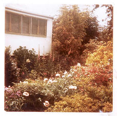 Gwen (Suzie's) garden Longwarry Road 196