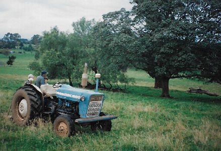 old slab hut site 1994.jpg