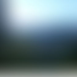 Seeking Solitude in the Wilderness