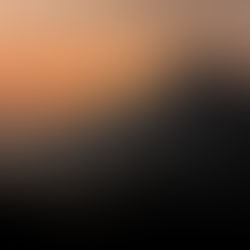 There are no rules anymore