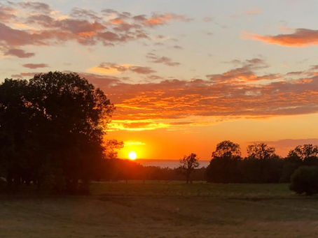 Hur gör man när man sörjer?