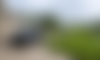 Could Houston’s Bayou Bodies Mystery Be Connected to Austin’s Lady Bird Lake Deaths?