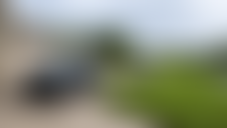 Could Houston’s Bayou Bodies Mystery Be Connected to Austin’s Lady Bird Lake Deaths?