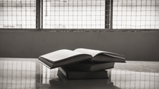 Why the BOP May Restrict The 48 Laws of Power