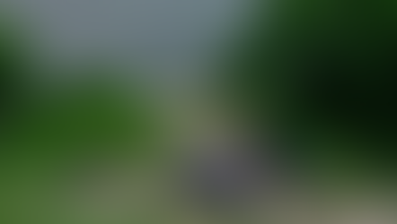 Another Body in the Bayou: Houston's Troubling Mystery Continues