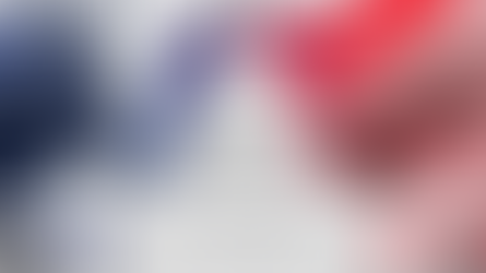 The State of American Politics: A Nation Deeply Divided