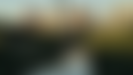 Houston Bayou Deaths Fuel Serial Killer Fears Despite Official Denials