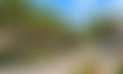 The Reinvention of Zephyrhills: How a Small Florida Town Became Tampa Bay’s Next Growth Frontier
