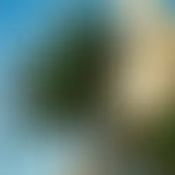 The Vital Connection: Climate and Your IV Hydration Needs in Miami