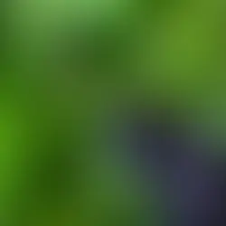 Top Reasons to Choose Mobile IV Therapy for Optimal Health