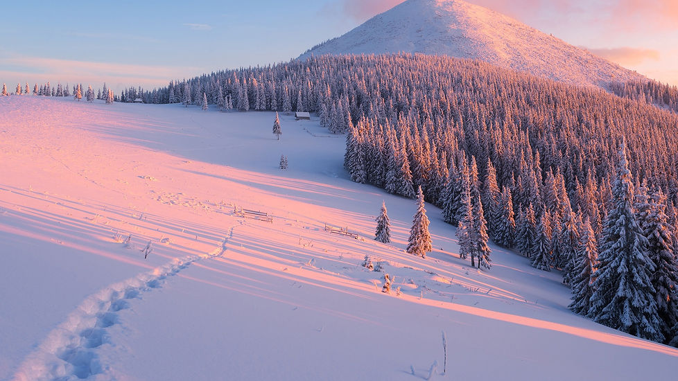 Winter-slope-trees-snow-mountains-sun-rays_1920x1440.jpg