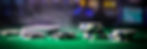 BG 01.jpg