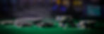 BG 01_edited.jpg