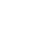 Logo Bloomiz fleur (1).png