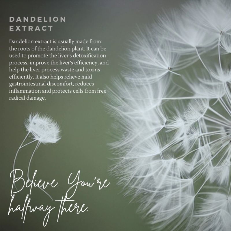 縮圖：ATITA PISSENLIT Detox + Enzyme + Fiber + Relieve Constipation 橙子味排毒瘦身