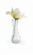 Small top hewey bud vases