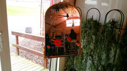 DSCF0018_edited