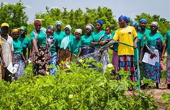SMART AGR