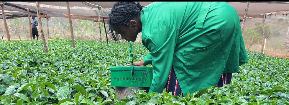 nonosprout intergration.jpg