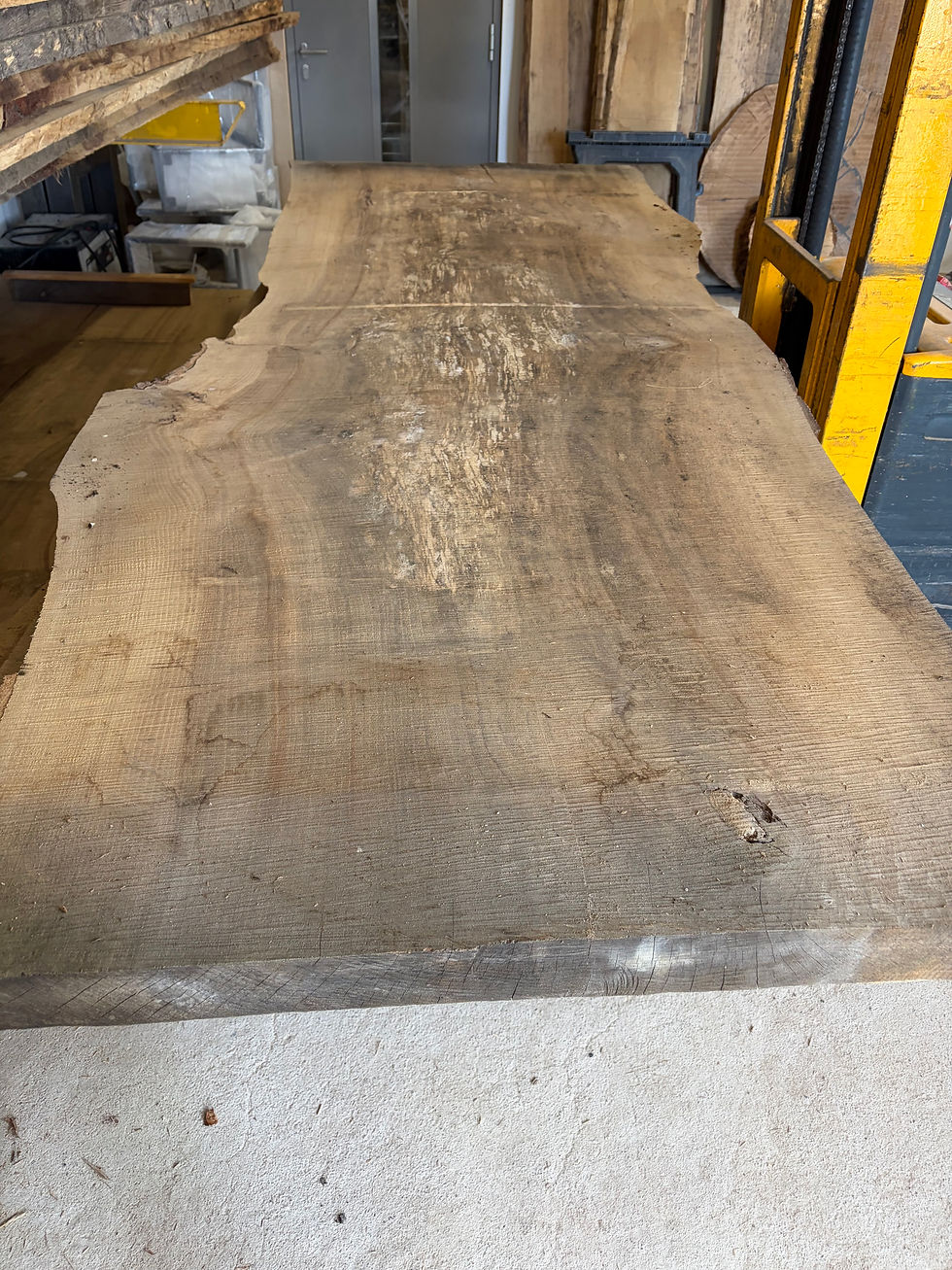 Miniaturbild: Buchebohle Baumtisch Monolith Buche XXL sehr breit kammergetrocknet