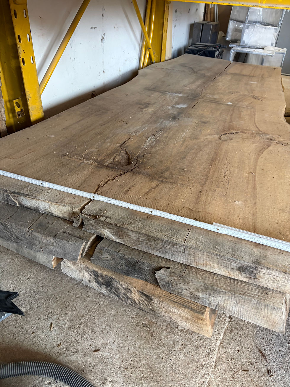 Buchebohle Baumtisch Monolith Buche XXL sehr breit kammergetrocknet
