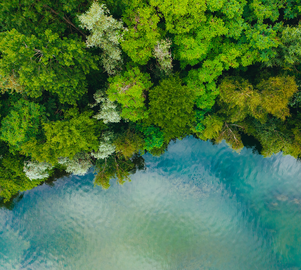 Aerial top-down view of dense green forest surrounding a clear blue lake.