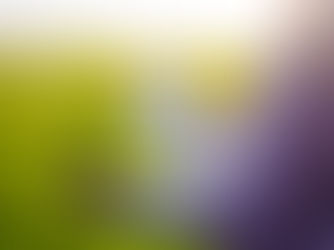 Person holding a young plant with soil while reviewing agricultural data charts on a clipboard in a green field.