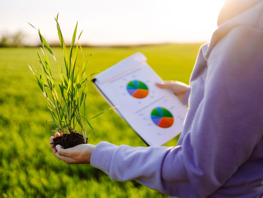 Person holding a young plant with soil while reviewing agricultural data charts on a clipboard in a green field.