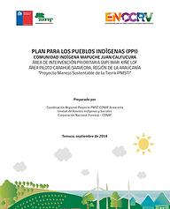 Comunidad Indígena Juan Calfucura
Área de intervención prioritaria (AIP) MARI KIÑE LOF
Área piloto Carahue/Saavedra