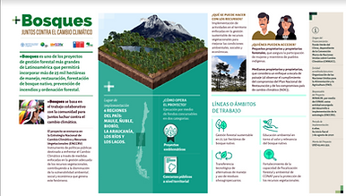 Captura de Pantalla 2022-03-12 a la(s) 22.56.48.png