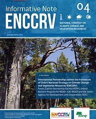 4. International Partnerships within the framework of Chile’s National Strategy on Climate Change and Vegetation Resources (ENCCRV): Forest Carbon Partnership Facility (FCPF), United Nation’s Program for REDD+ (UN-REDD) and the Swiss Agency for Development and Cooperation (SDC).