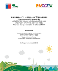 Comunidad Indígena Mari Ñir
Área de intervención prioritaria (AIP) Ñirehuao
Área piloto Coyhaique