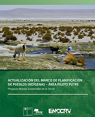 Actualización Marco de Planificación de pueblos índigenas PUTRE