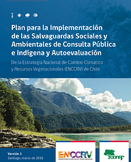 Plan para la Implementación de las Salvaguardas