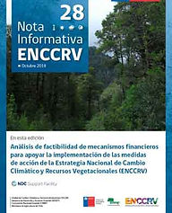 28. Análisis de factibilidad de mecanismos financieros para apoyar la implementación de las medidas de acción de la Estrategia Nacional de Cambio Climático y Recursos Vegetacionales (ENCCRV)