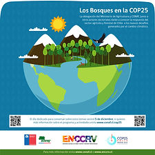 Infografía_3_-_los_bosques_en_la_cop25-