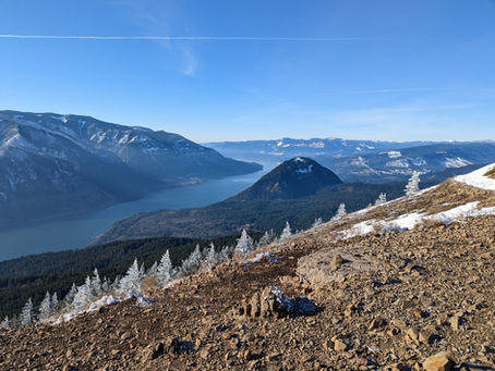 Dog Mtn