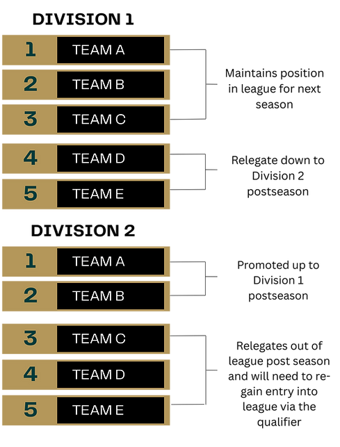 Champions League Promotion Relegation Visual_Transparent.png